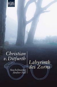 Produktbild: Labyrinth des Zorns