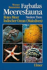 Produktbild: Farbatlas Meeresfauna