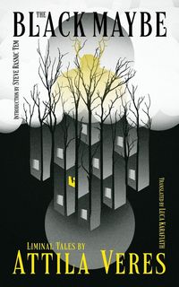 Produktbild: The Black Maybe