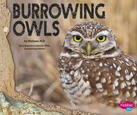 Produktbild: Burrowing Owls