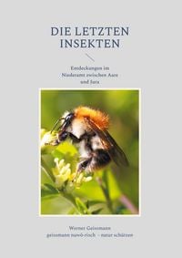 Produktbild: Die letzten Insekten