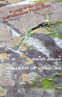 Produktbild: Church Of Needles