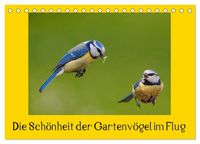Produktbild: Die Sch&ouml;nheit der Gartenv&ouml;gel im Flug (Tischkalender 2027 DIN A5 quer), CALVENDO Monatskalender