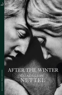 Produktbild: After the Winter