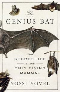 Produktbild: The Genius Bat