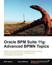 Produktbild: Oracle Bpm Suite 11g