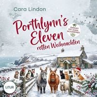 Produktbild: Porthlynn's Eleven retten Weihnachten: Ein Winterm&auml;rchen aus Cornwall