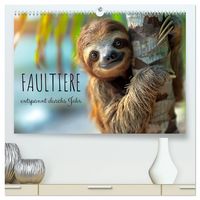 Produktbild: Faultiere - entspannt durchs Jahr (hochwertiger Premium Wandkalender 2027 DIN A2 quer), Kunstdruck in Hochglanz