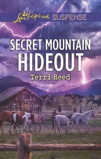 Produktbild: Secret Mountain Hideout