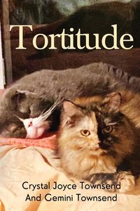 Produktbild: Tortitude
