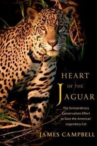 Produktbild: Heart of the Jaguar