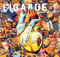 'Dedicato a noi' von 'Ligabue' auf 'Vinyl' Musik
