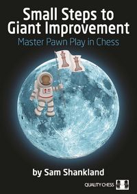 Produktbild: Small Steps to Giant Improvement