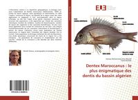 Produktbild: Dentex Maroccanus : le plus &eacute;nigmatique des dentis du bassin alg&eacute;rien