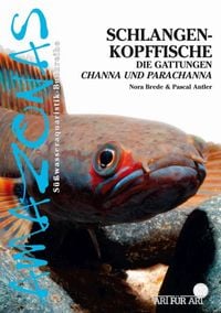Produktbild: Schlangenkopffische