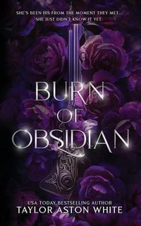 Produktbild: Burn of Obsidian Special Edition