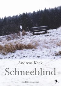 Bild vom Artikel Schneeblind vom Autor Andreas Keck
