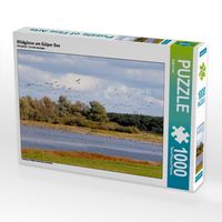 Produktbild: CALVENDO Puzzle Wildg&auml;nse am G&uuml;lper See | 1000 Teile Lege-Gr&ouml;&szlig;e 64x48cm Foto-Puzzle f&uuml;r gl&uuml;ckliche Stunden