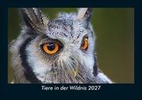 Produktbild: Tiere in der Wildnis 2027 Fotokalender DIN A5