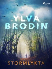 Produktbild: Stormlykta