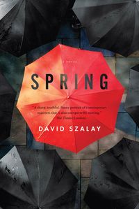 Bild vom Artikel Spring vom Autor David Szalay