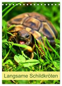Produktbild: Langsame Schildkr&ouml;ten (Tischkalender 2026 DIN A5 hoch), CALVENDO Monatskalender