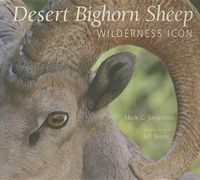 Produktbild: The Desert Bighorn Sheep: Wilderness Icon