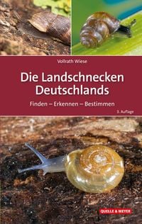Produktbild: Die Landschnecken Deutschlands