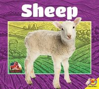 Produktbild: Sheep