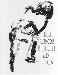 Produktbild: The Curious Whether and How (The Evolution of Confusion)