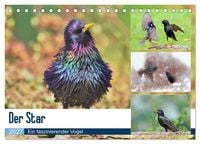 Produktbild: Der Star (Tischkalender 2027 DIN A5 quer), CALVENDO Monatskalender