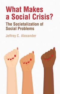Produktbild: What Makes a Social Crisis?