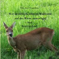 Produktbild: Wer ist denn da alles im Wald und auf der Wiese unterwegs?