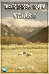 Produktbild: Perfect Valley