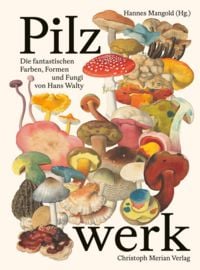 Produktbild: Pilzwerk