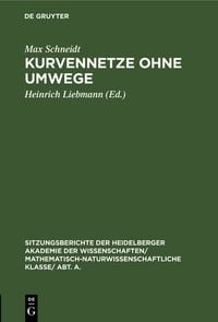 Produktbild: Kurvennetze ohne Umwege