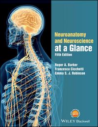 Produktbild: Robinson, E: Neuroanatomy and Neuroscience at a Glance