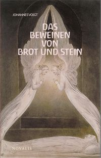 Bild vom Artikel Reihe Geisteswissenschaft / Das Beweinen von Brot und Stein vom Autor Johannes Voigt