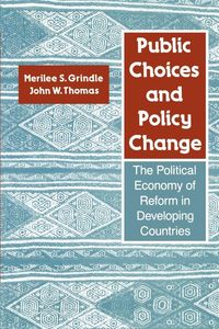 Produktbild: Public Choices and Policy Change