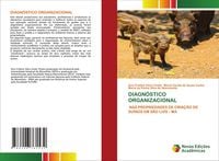 Produktbild: Diagn&oacute;stico Organizacional