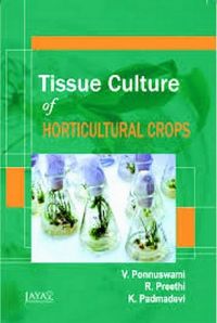 Produktbild: Tissue Culture of Horticultural Crops