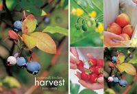 Produktbild: Stonewall Kitchen Harvest Small Note Cards