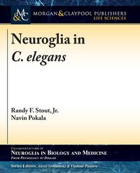 Produktbild: Neuroglia in C. elegans