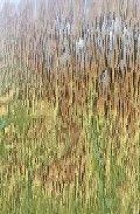 Produktbild: Pirineo Aragon&eacute;s
