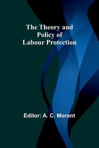 Produktbild: The Theory and Policy of Labour Protection