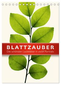 Produktbild: Blattzauber (Tischkalender 2026 DIN A5 hoch), CALVENDO Monatskalender