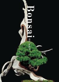 Produktbild: Bonsai