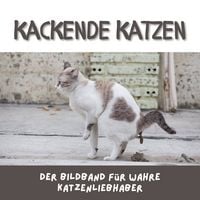 Produktbild: Kackende Katzen