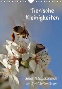 Produktbild: Tierische Kleinigkeiten / Geburtstagskalender (Wandkalender immerw&auml;hrend DIN A4 hoch)