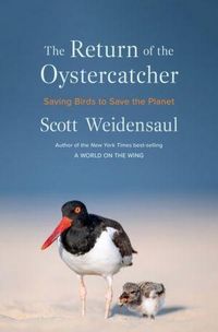 Produktbild: The Return of the Oystercatcher